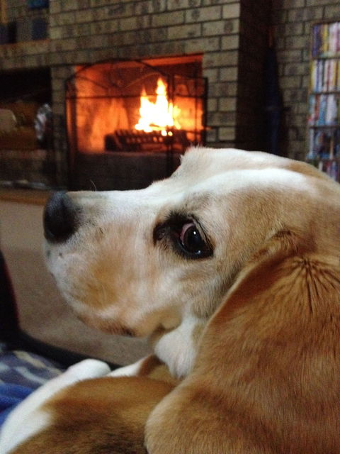 The Retreat On Matthew - Accommodation NT 1