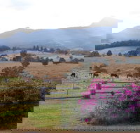 The Barn  House Farm Stay at Possum Manor - Accommodation NT