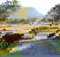 Tommerups Dairy Farmstay - Accommodation NT