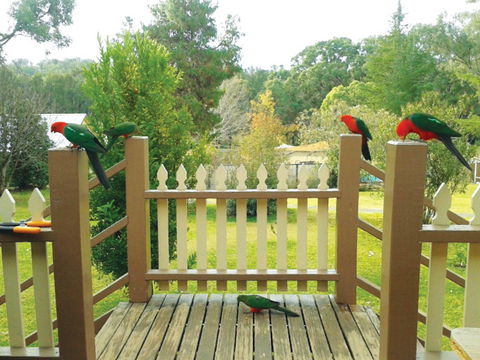 Warrumbungles Mountain Motel - Accommodation NT 0