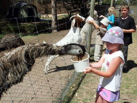Bairnsdale Holiday Park - Accommodation NT 2