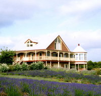 Serendipity Lavender Farm - Accommodation NT