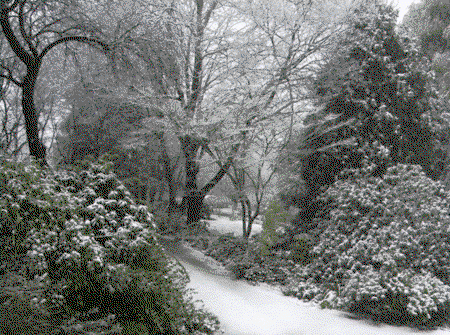 Woolrich Retreat - NT Tourism 5