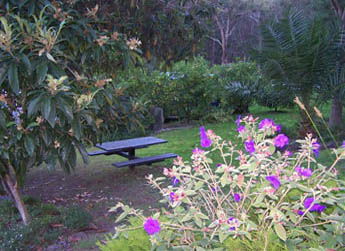 Sunway Farm B And B And Tours - Accommodation NT 2
