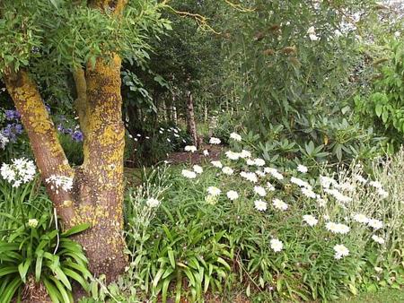 Tetoora Road VIC Accommodation NT