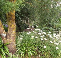 Springbank Bed and Breakfast - Accommodation NT