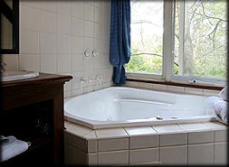 Forest Glade Olinda - NT Tourism 1