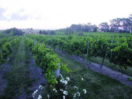 Glen Erin At Lancefield - Accommodation NT 3