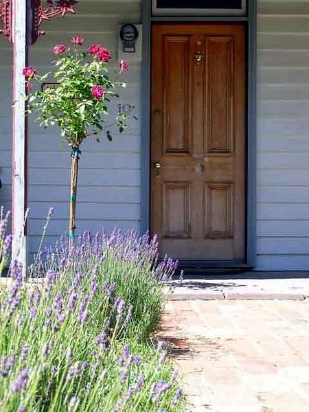 Airleigh - Rose Cottage - Accommodation NT 2