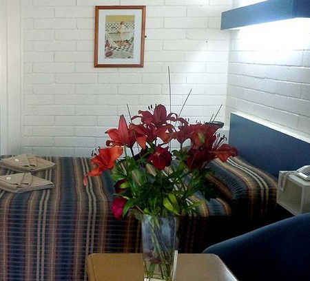 Central Highlands Motor Inn - Accommodation NT 2