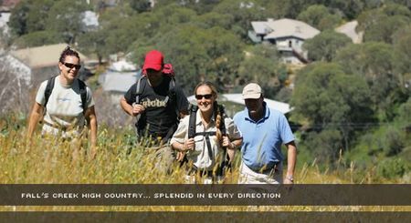 Alpine View Apartments - Accommodation NT 3