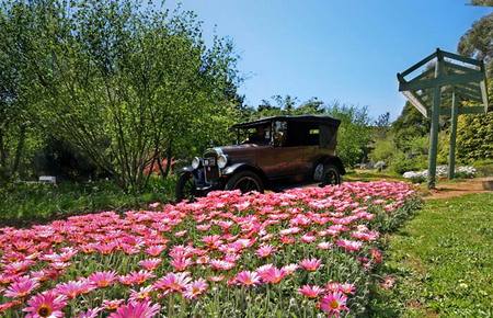 Brilynbrook Country Accommodation - Accommodation NT 5