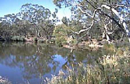 Riverside Host Farm - Accommodation NT 1
