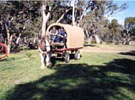 Riverside Host Farm - Accommodation NT 3