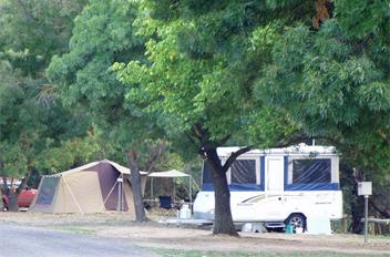 Big 4 Castlemaine Gardens Holiday Park - Accommodation NT 5