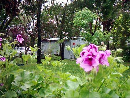 Beach Park Tourist Caravan Park - NT Tourism 2