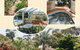 Coachman Motel And Holiday Units - thumb 1