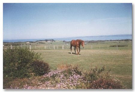 First Class Bed And Breakfast - Accommodation NT 0