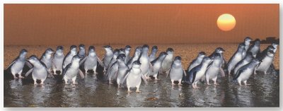 First Class Bed And Breakfast - Accommodation NT 1