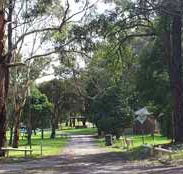 Moe Gardens Caravan Park - Accommodation NT