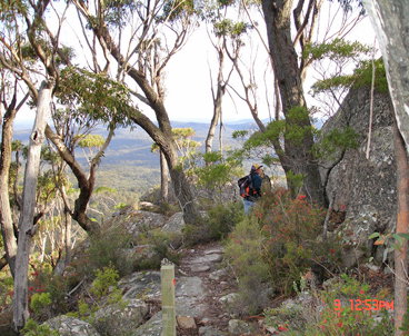 Mallacoota Hotel Motel - Accommodation NT 3