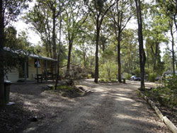 Lakes Bushland Caravan Park - Accommodation NT 0