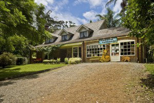 Curtis Falls Mountain Retreat - Accommodation NT 0