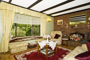 Curtis Falls Mountain Retreat - Accommodation NT 1