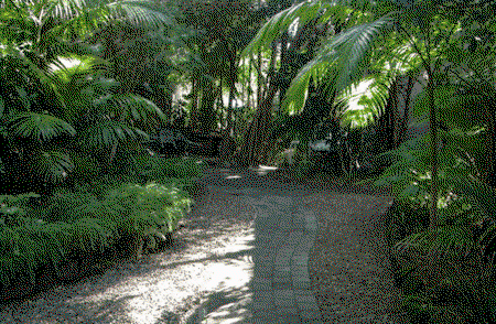 Sunshine Vista - NT Tourism 2