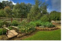Peppermint Springs Retreat & Day Spa - Accommodation NT 2