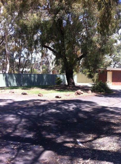 Golden Country Motel And Caravan Park - Accommodation NT 2