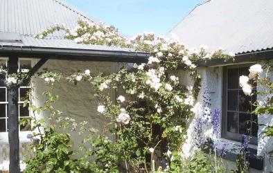Orford Sanda House B&B - Accommodation NT 1