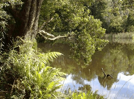 Weldborough Hotel - Accommodation NT