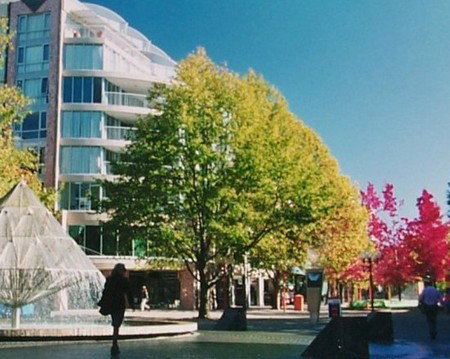 Canberra Wide Apartments - City Plaza - Accommodation NT 2