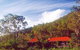 Cedar Creek Cottages - thumb 0
