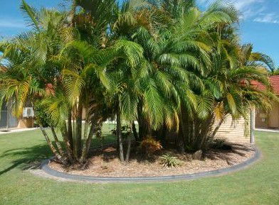 Yamba Motor Inn - Accommodation NT 5
