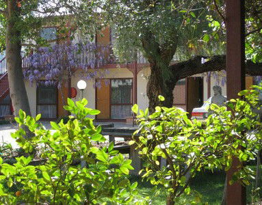 Central Motor Inn Wentworth - Accommodation NT 2