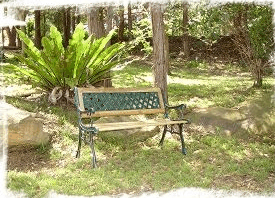 Lorikeet Cottage - thumb 3