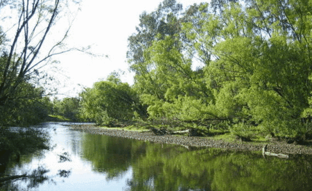 Ribbonwood Cottages - Accommodation NT