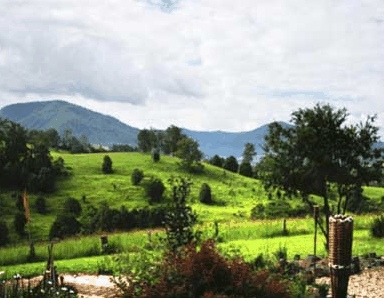 Nimbin Rox YHA - Accommodation NT 1