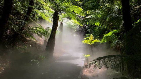 Australian National Botanic Gardens - Accommodation NT 4