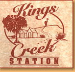 Kings Creek Station - Accommodation NT