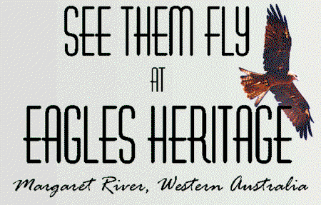 Eagles Heritage Raptor Wildlife Centre - Accommodation NT 0