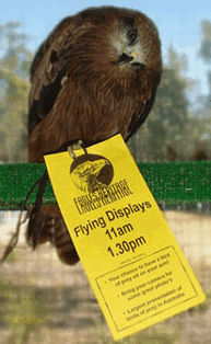 Eagles Heritage Raptor Wildlife Centre - Accommodation NT 1
