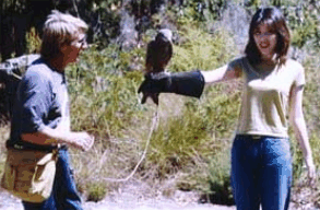Eagles Heritage Raptor Wildlife Centre - Accommodation NT 2