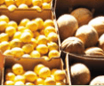 Brisbane Markets - Accommodation NT