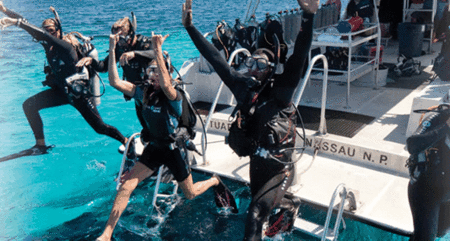 Snorkel Safari Brisbane - Accommodation NT