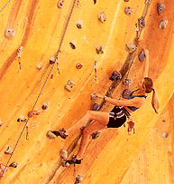 Rocksports Indoor Climbing - Accommodation NT
