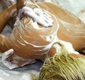 Exotique Massage - Accommodation NT