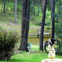 Gain Life Healing Health Retreat - Accommodation NT 2